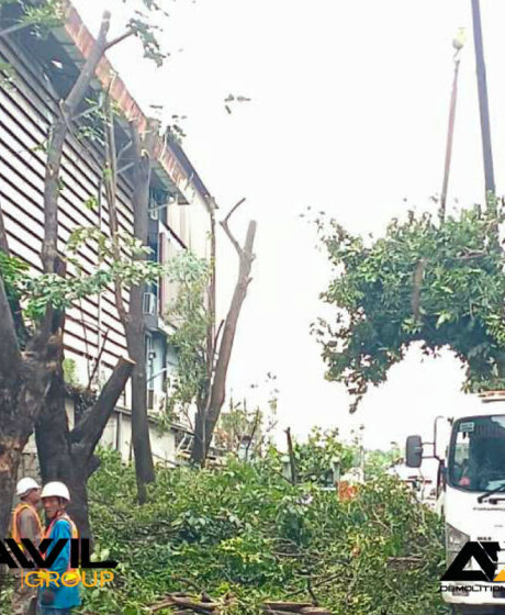 Anawil Demolition Farmhouse 13